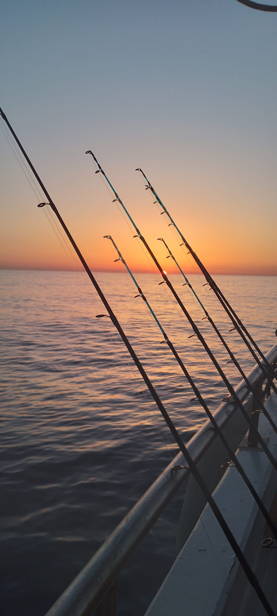 fishingtripskalives boat fish on rod 2 scaled fishingtripskalives rod fishing sunset