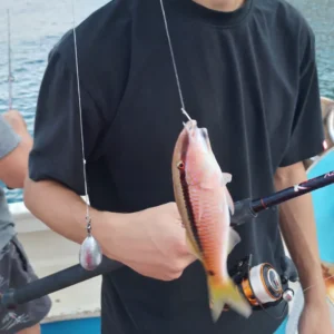 fishingtripskalives boat fish on rod fishingtripskalives rod fishing