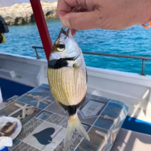 fishingtripskalives fish on board fishingtripskalives rod fishing
