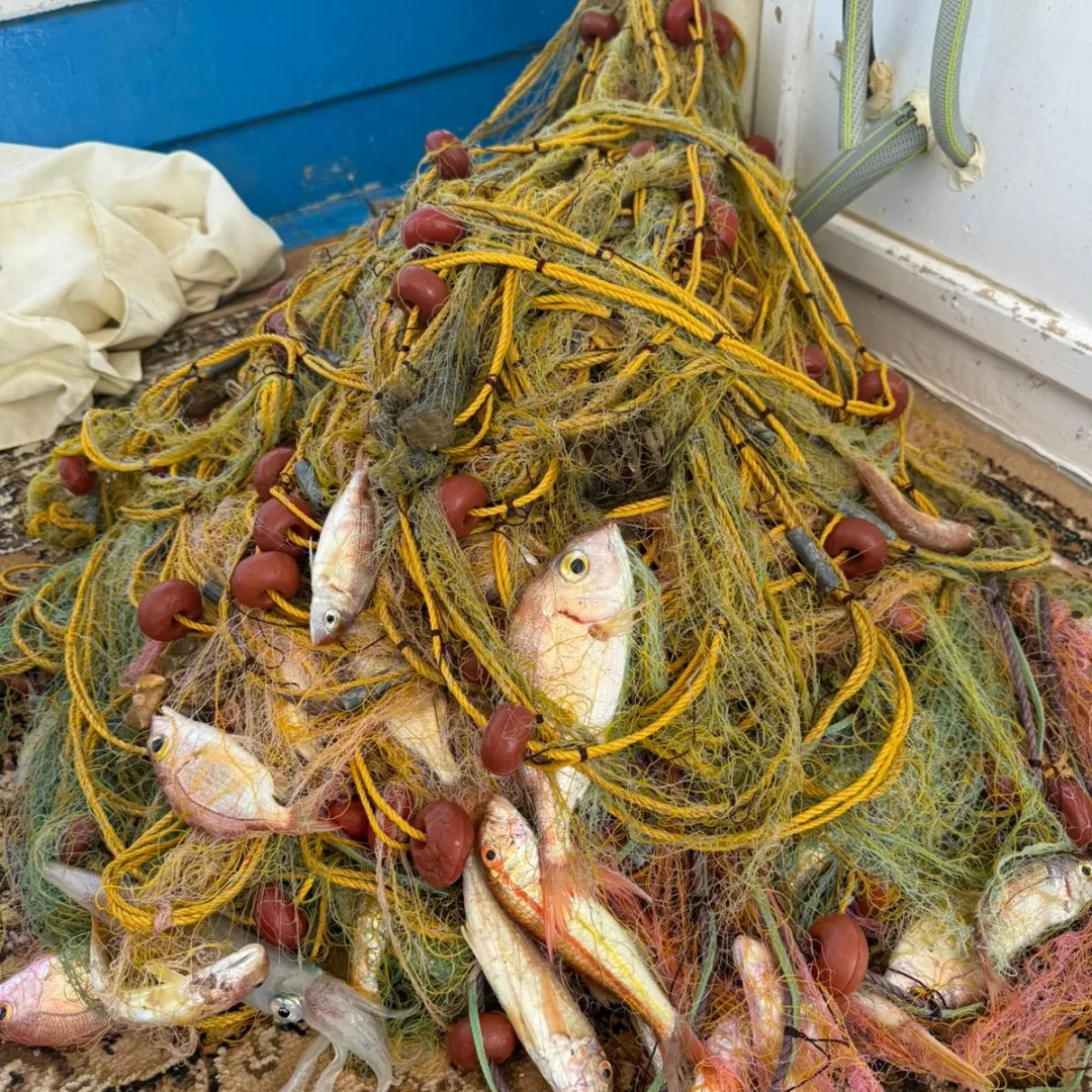 fishingtripskalives fishing with nets fishingtripskalives fishing with nets