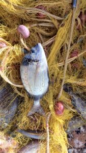 fishingtripskalives nets fishing 11 fishingtripskalives net fishing