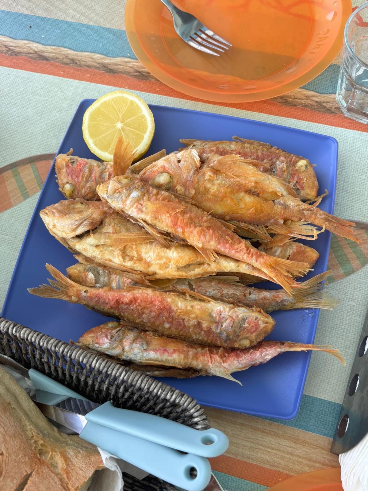 IMG 20250619 WA0009 fishingtripskalives net fishing lunch time