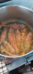 fishingtripskalives net fishing