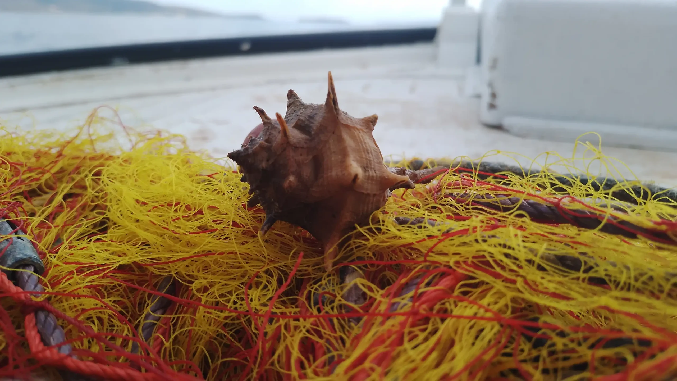 fishingtripskalives boat and coral