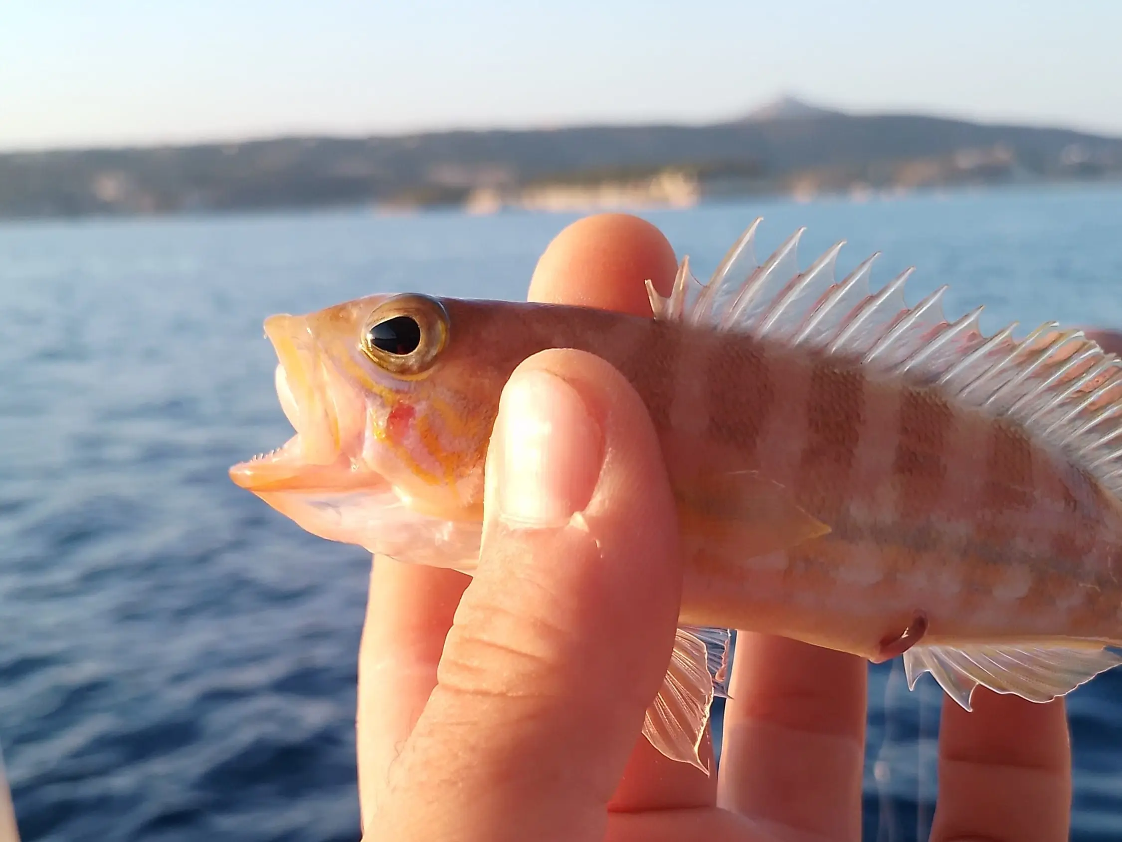 fishingtripskalives rod fishing