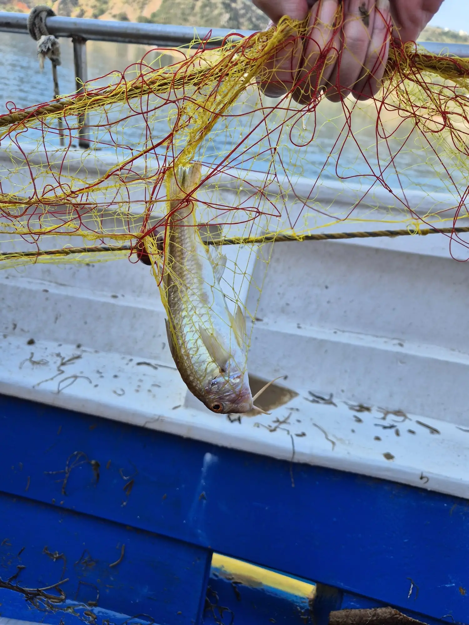 fishingtripskalives net fishing