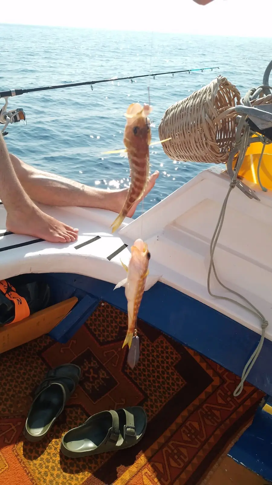 fishingtripskalives rod fishing sunset