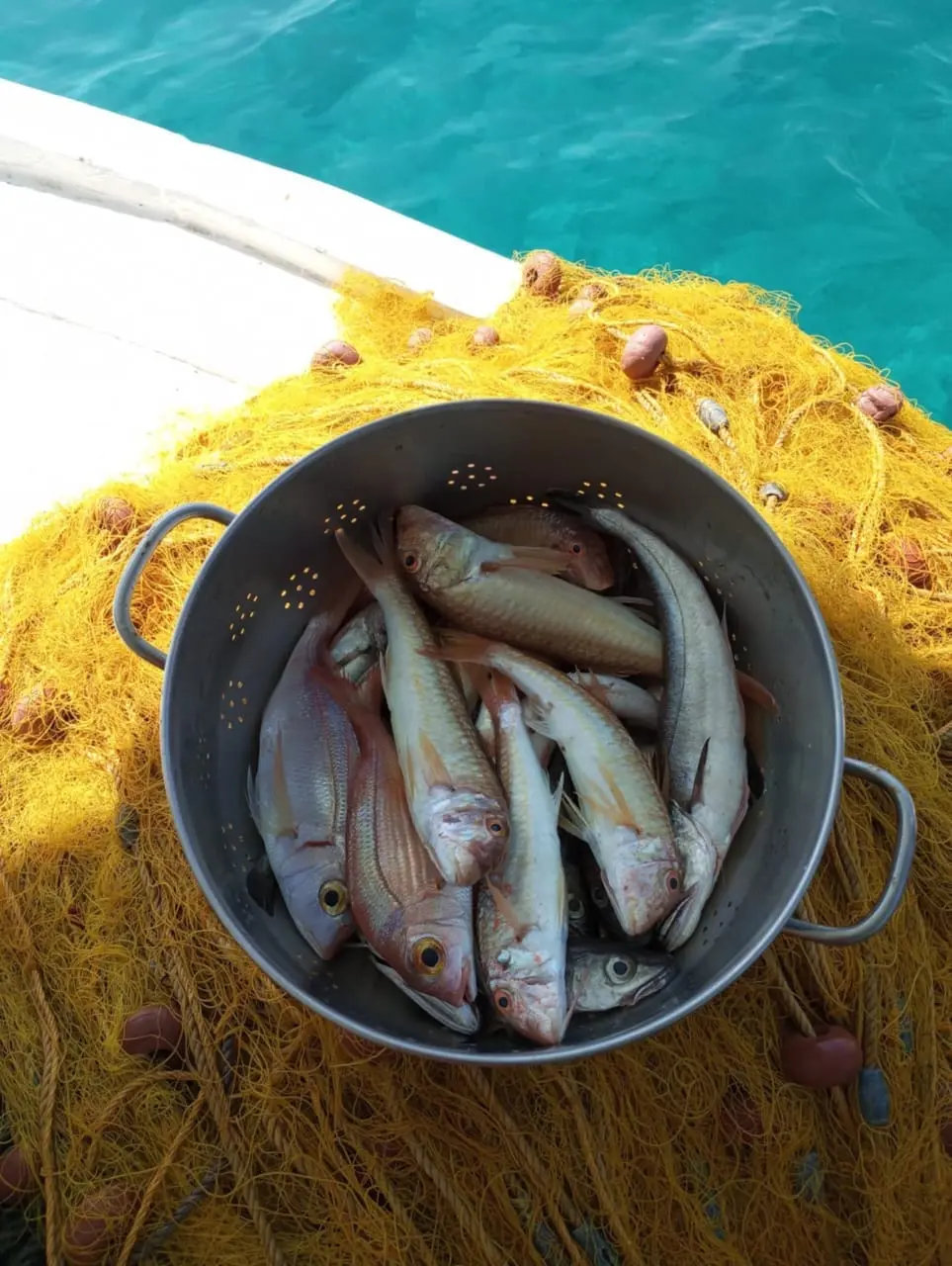 fishingtripskalives net fishing