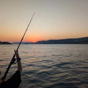 fishing trips kalives chania sunset rod fishing 0723 084029 922